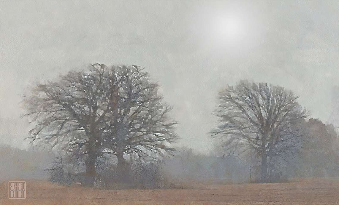 Oaks in Fog Watercolor of two large oak trees in a foggy field under pale morning light, with soft haze and muted winter color.