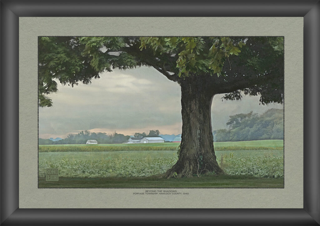 Large shade tree framing green farm fields and distant rural buildings beneath a softly glowing evening sky