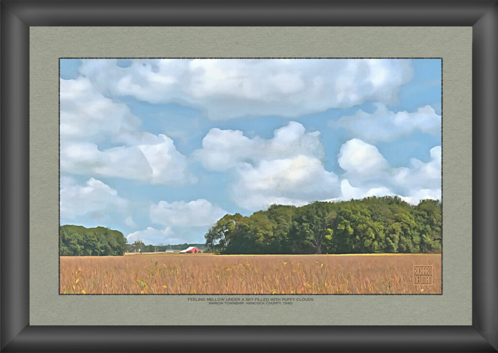 Open rural field beneath a blue summer sky filled with large white clouds and a distant red barn
